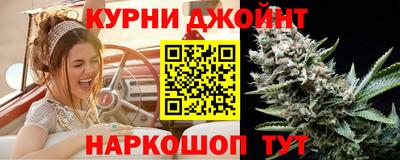 шишки Берёзовский