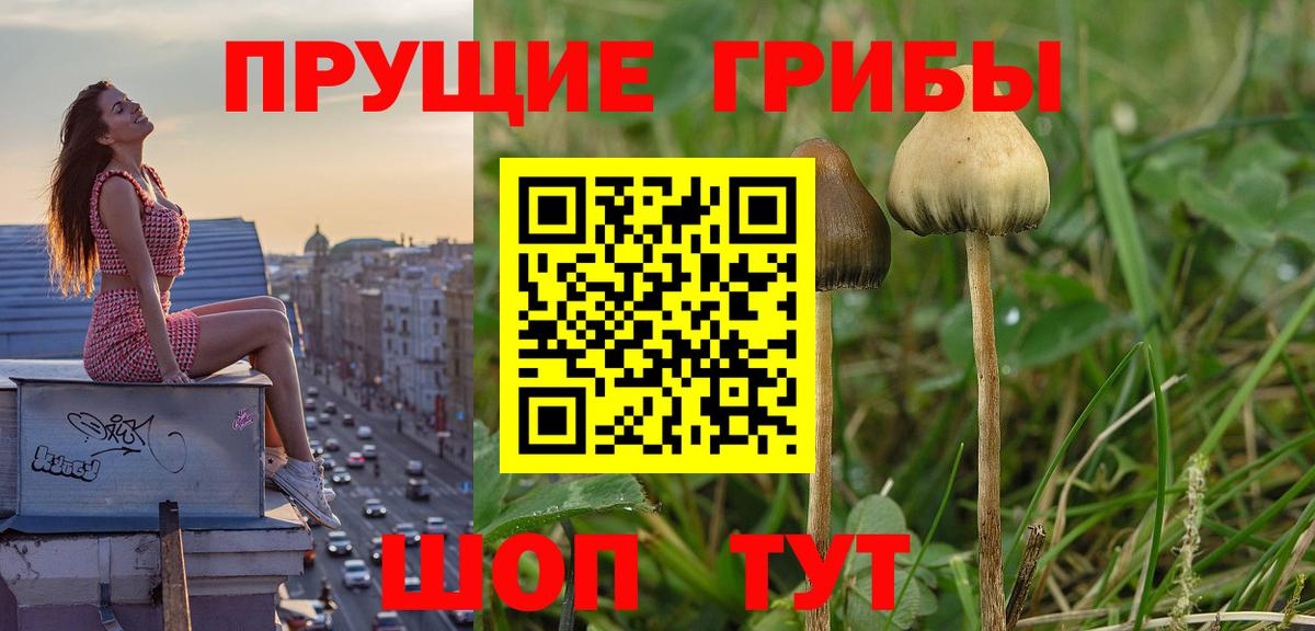 Галлюциногенные грибы MAGIC MUSHROOMS  Вход с VPN  Галлюциногенные грибы мухоморы  Кисловодск 
