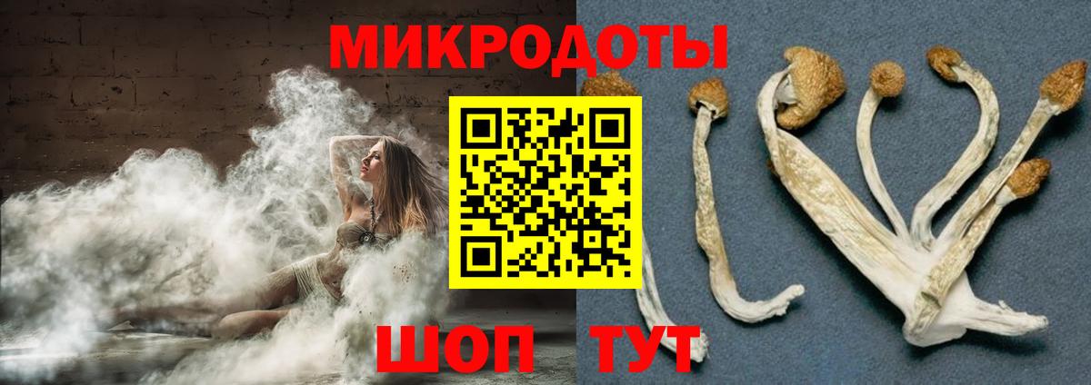 Галлюциногенные грибы Cubensis Кисловодск
